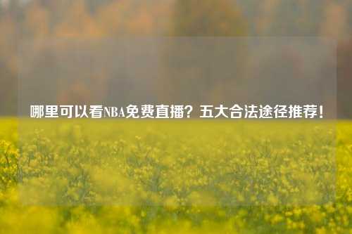 哪里可以看NBA免费直播？五大合法途径推荐！