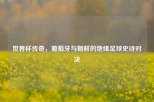 世界杯传奇，葡萄牙与朝鲜的地缘足球史诗对决