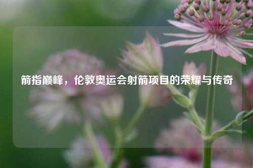 箭指巅峰，伦敦奥运会射箭项目的荣耀与传奇