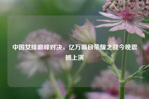 中国女排巅峰对决，亿万瞩目荣耀之战今晚震撼上演