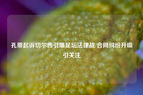 孔蒂起诉切尔西引爆足坛法律战 合同纠纷升级引关注