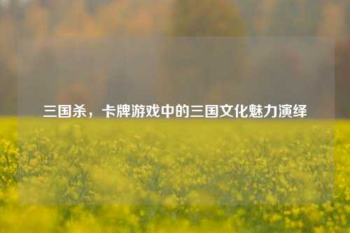 三国杀，卡牌游戏中的三国文化魅力演绎