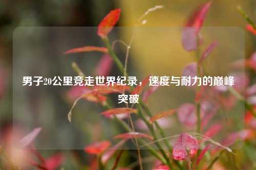 男子20公里竞走世界纪录，速度与耐力的巅峰突破