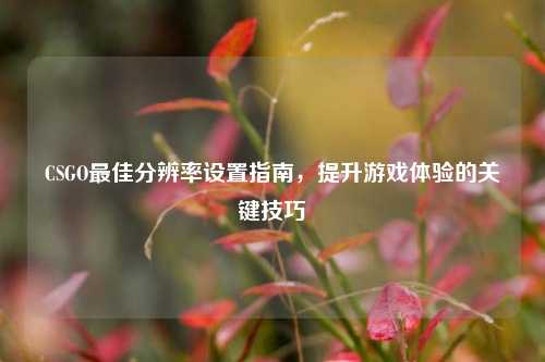 CSGO最佳分辨率设置指南，提升游戏体验的关键技巧