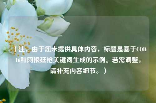 （注，由于您未提供具体内容，标题是基于COD16和阿根廷枪关键词生成的示例。若需调整，请补充内容细节。）