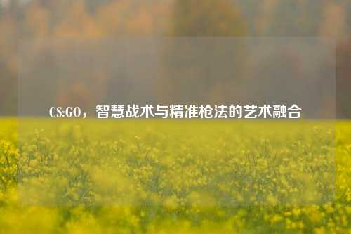 CS:GO，智慧战术与精准枪法的艺术融合