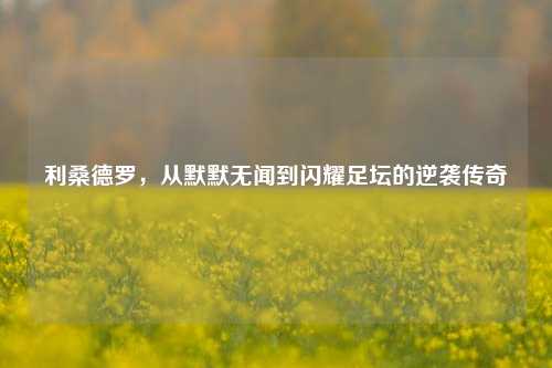利桑德罗，从默默无闻到闪耀足坛的逆袭传奇