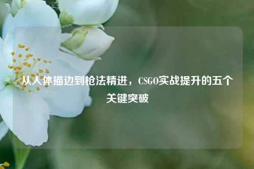 从人体描边到枪法精进，CSGO实战提升的五个关键突破