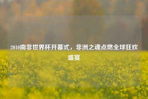2010南非世界杯开幕式，非洲之魂点燃全球狂欢盛宴