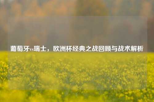 葡萄牙vs瑞士，欧洲杯经典之战回顾与战术解析