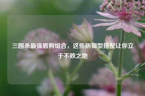 三国杀最强盾狗组合，这些防御型搭配让你立于不败之地