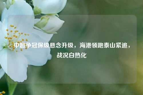 中超争冠保级悬念升级，海港领跑泰山紧追，战况白热化