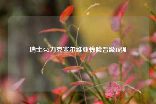 瑞士3-2力克塞尔维亚惊险晋级16强
