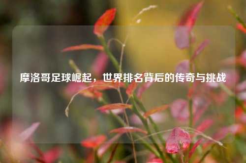 摩洛哥足球崛起，世界排名背后的传奇与挑战
