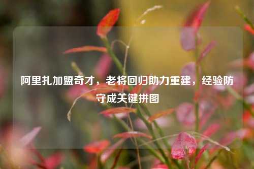 阿里扎加盟奇才，老将回归助力重建，经验防守成关键拼图