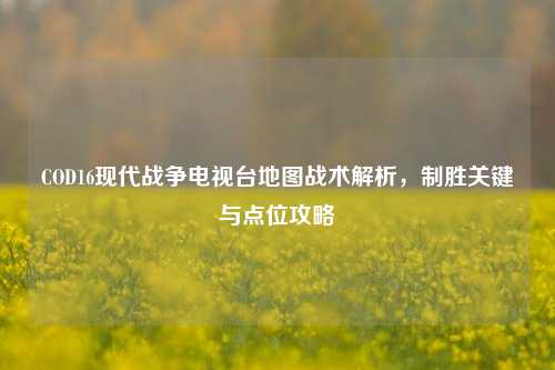 COD16现代战争电视台地图战术解析，制胜关键与点位攻略