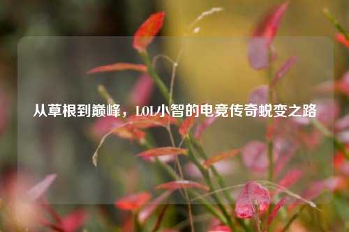 从草根到巅峰，LOL小智的电竞传奇蜕变之路
