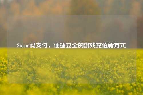 Steam码支付，便捷安全的游戏充值新方式