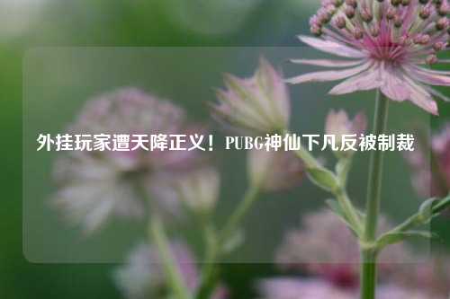 外挂玩家遭天降正义！PUBG神仙下凡反被制裁