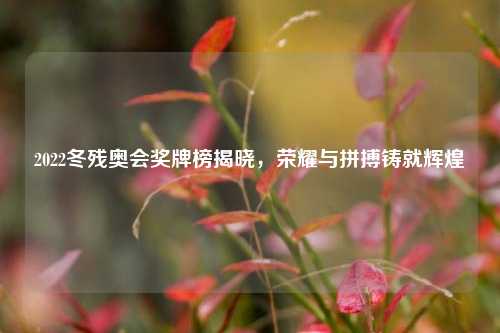 2022冬残奥会奖牌榜揭晓，荣耀与拼搏铸就辉煌