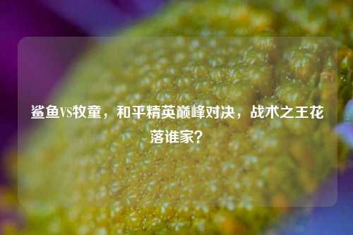 鲨鱼VS牧童，和平精英巅峰对决，战术之王花落谁家？