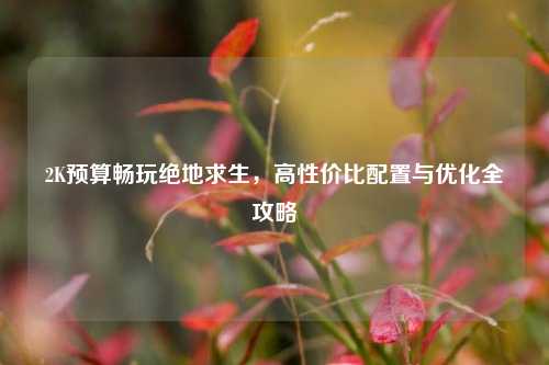 2K预算畅玩绝地求生，高性价比配置与优化全攻略