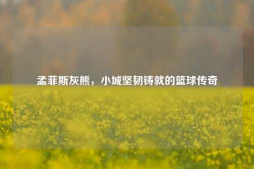 孟菲斯灰熊，小城坚韧铸就的篮球传奇
