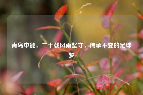 青岛中能，二十载风雨坚守，传承不变的足球梦