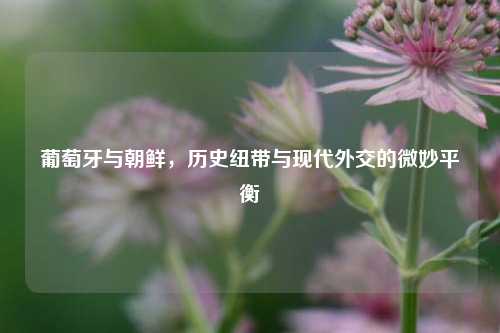 葡萄牙与朝鲜，历史纽带与现代外交的微妙平衡