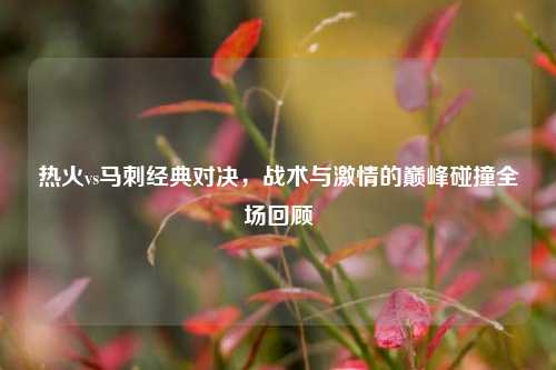热火vs马刺经典对决，战术与激情的巅峰碰撞全场回顾