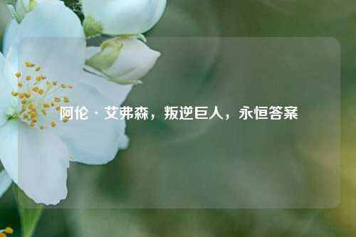阿伦·艾弗森，叛逆巨人，永恒答案