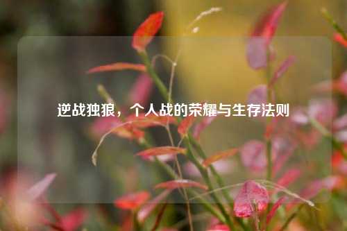 逆战独狼，个人战的荣耀与生存法则