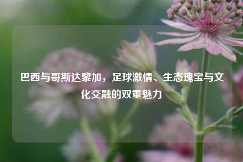 巴西与哥斯达黎加，足球激情、生态瑰宝与文化交融的双重魅力