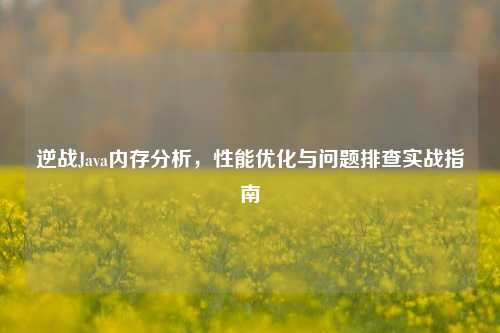 逆战Java内存分析，性能优化与问题排查实战指南