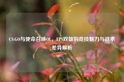 CS:GO与使命召唤OL，FPS双雄的竞技魅力与战术差异解析