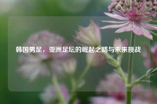 韩国男足,亚洲足坛的崛起之路与未来挑战