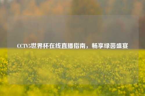 CCTV5世界杯在线直播指南,畅享绿茵盛宴