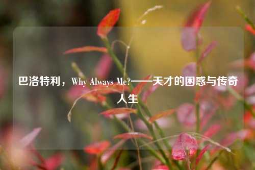 巴洛特利,Why Always Me?——天才的困惑与传奇人生