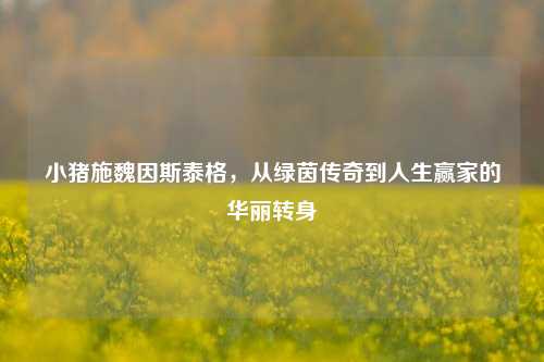 小猪施魏因斯泰格,从绿茵传奇到人生赢家的华丽转身
