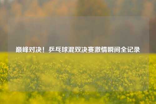 巅峰对决!乒乓球混双决赛激情瞬间全记录