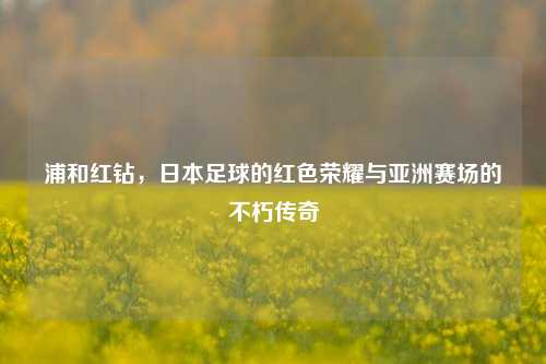 浦和红钻,日本足球的红色荣耀与亚洲赛场的不朽传奇