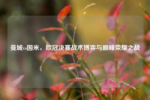 曼城vs国米,欧冠决赛战术博弈与巅峰荣耀之战