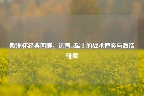 欧洲杯经典回顾,法国vs瑞士的战术博弈与激情碰撞