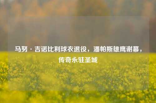 马努·吉诺比利球衣退役,潘帕斯雄鹰谢幕,传奇永驻圣城