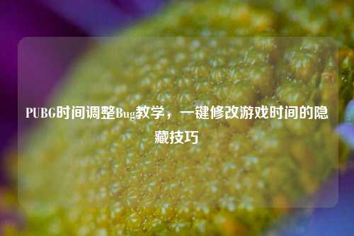 PUBG时间调整Bug教学,一键修改游戏时间的隐藏技巧