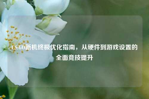 CS:GO新机终极优化指南,从硬件到游戏设置的全面竞技提升