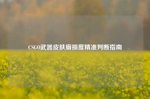 CSGO武器皮肤磨损度精准判断指南