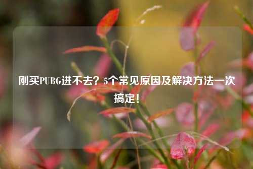 刚买PUBG进不去?5个常见原因及解决方法一次搞定!