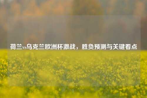 荷兰vs乌克兰欧洲杯激战,胜负预测与关键看点