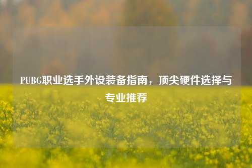 PUBG职业选手外设装备指南,顶尖硬件选择与专业推荐